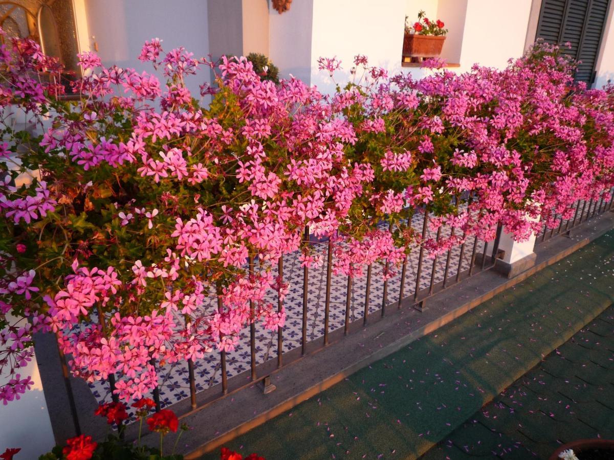 B&B Dea Fortuna Bacoli Exterior foto
